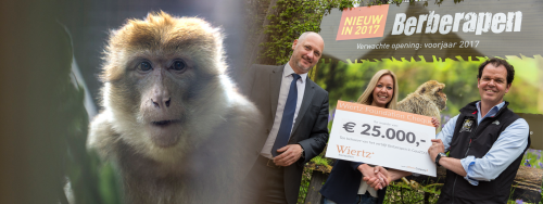 Wiertz Foundation in het tweede kwartaal van 2017