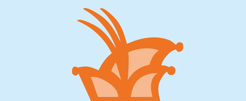 Hoe overleef je carnaval? Check de 11 tips!