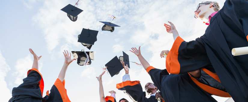 Naar Wiertz Company of naar Thailand?